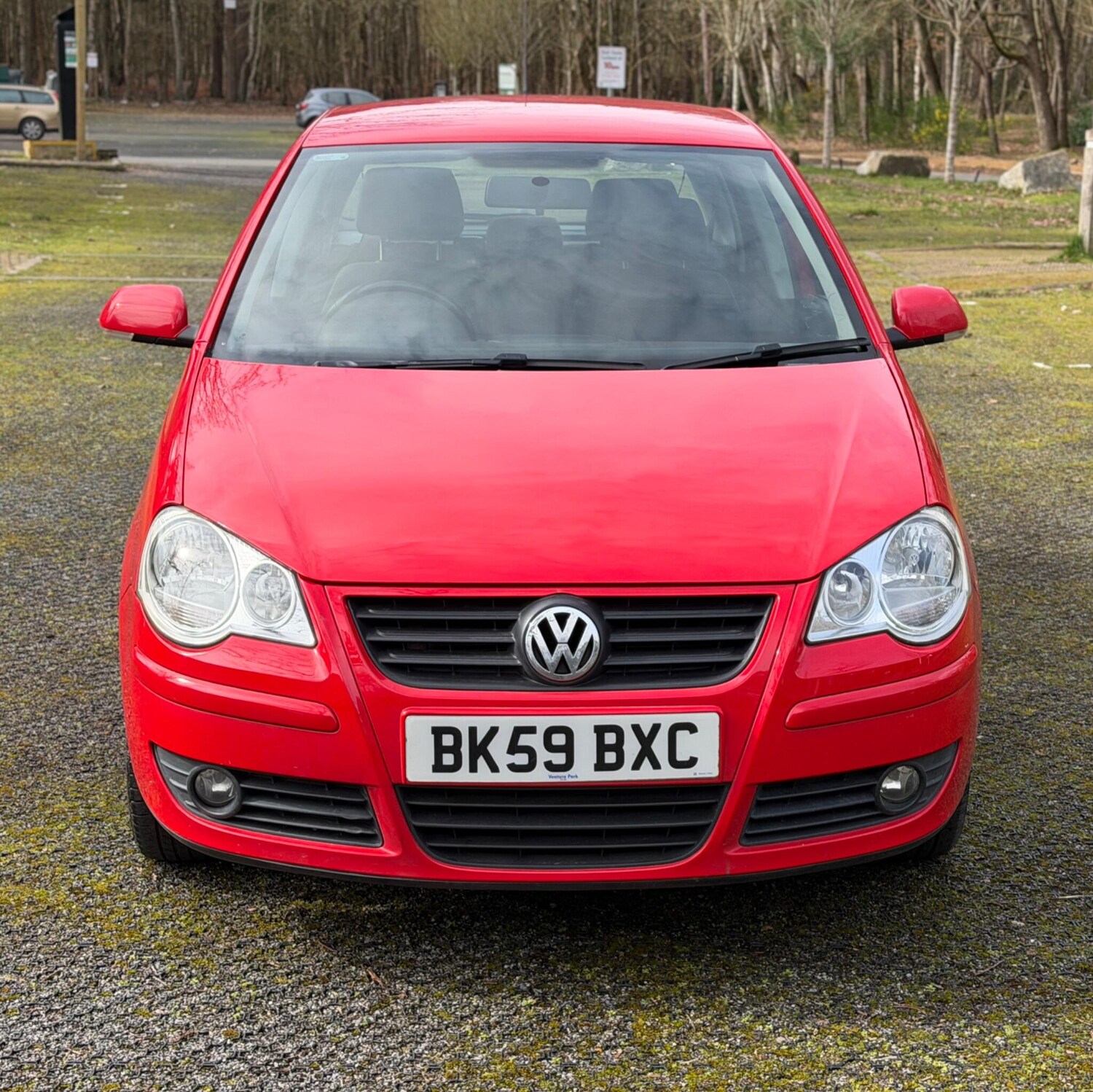 Used Volkswagen Polo for sale - 77909595: Photo 6