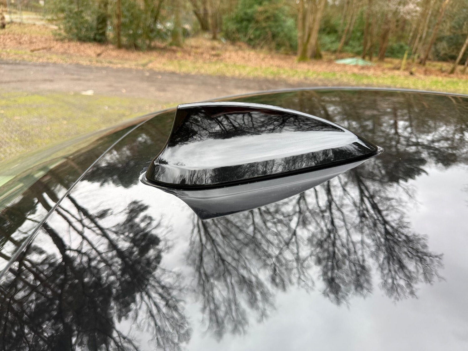 Used BMW 3 Series for sale - 77646536: Photo 42