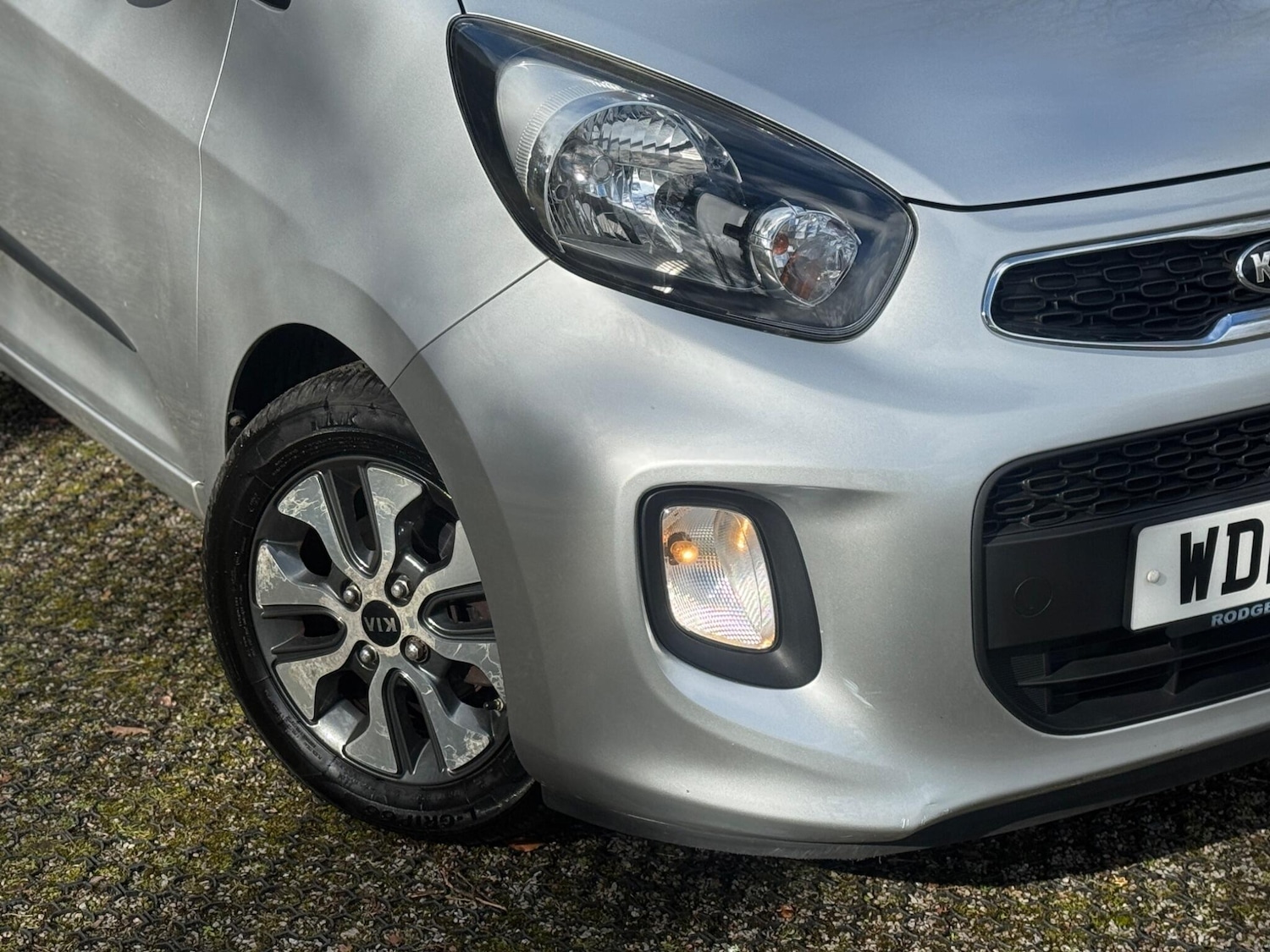 Used Kia Picanto for sale - 77671949: Photo 14