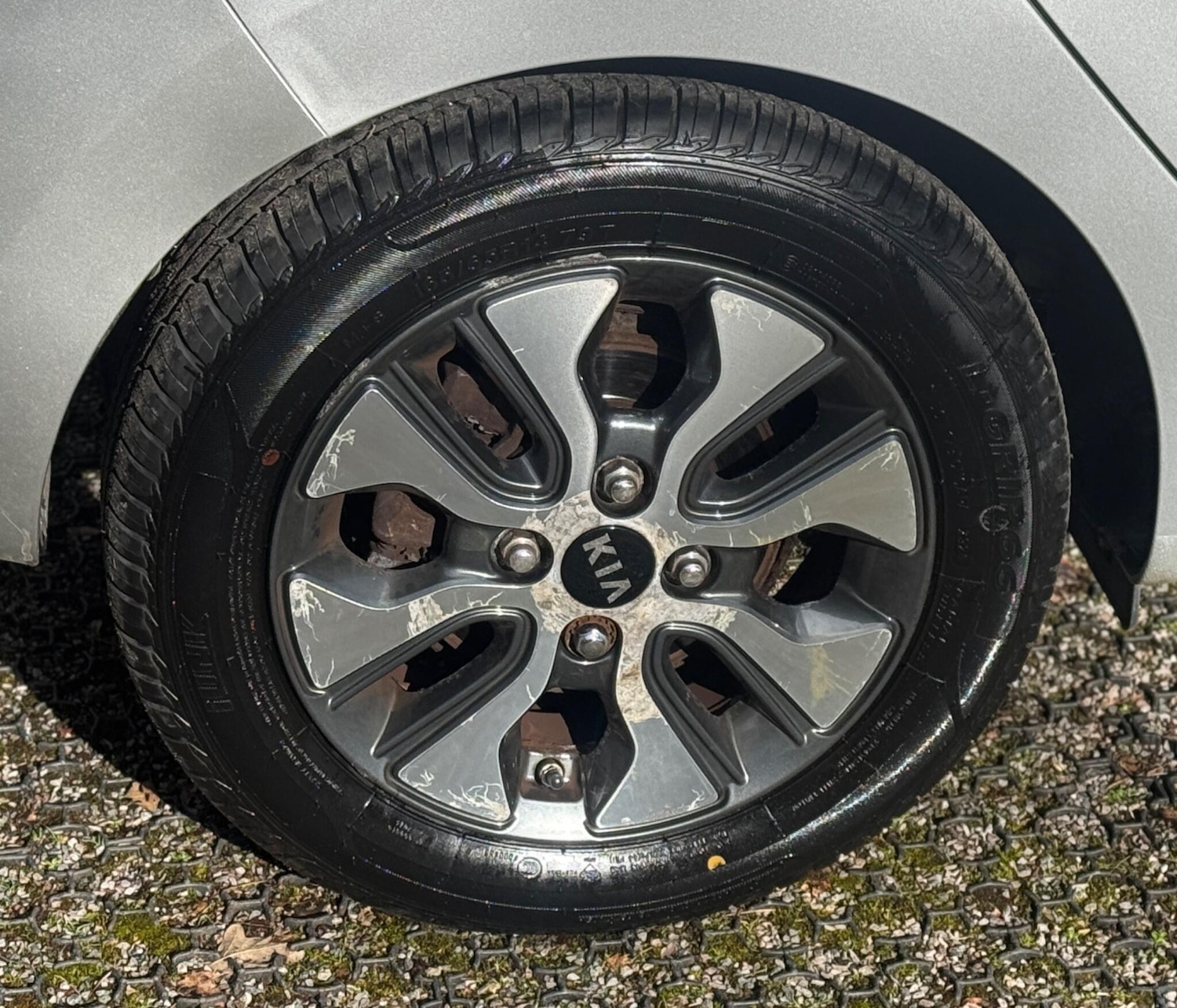 Used Kia Picanto for sale - 77671949: Photo 15