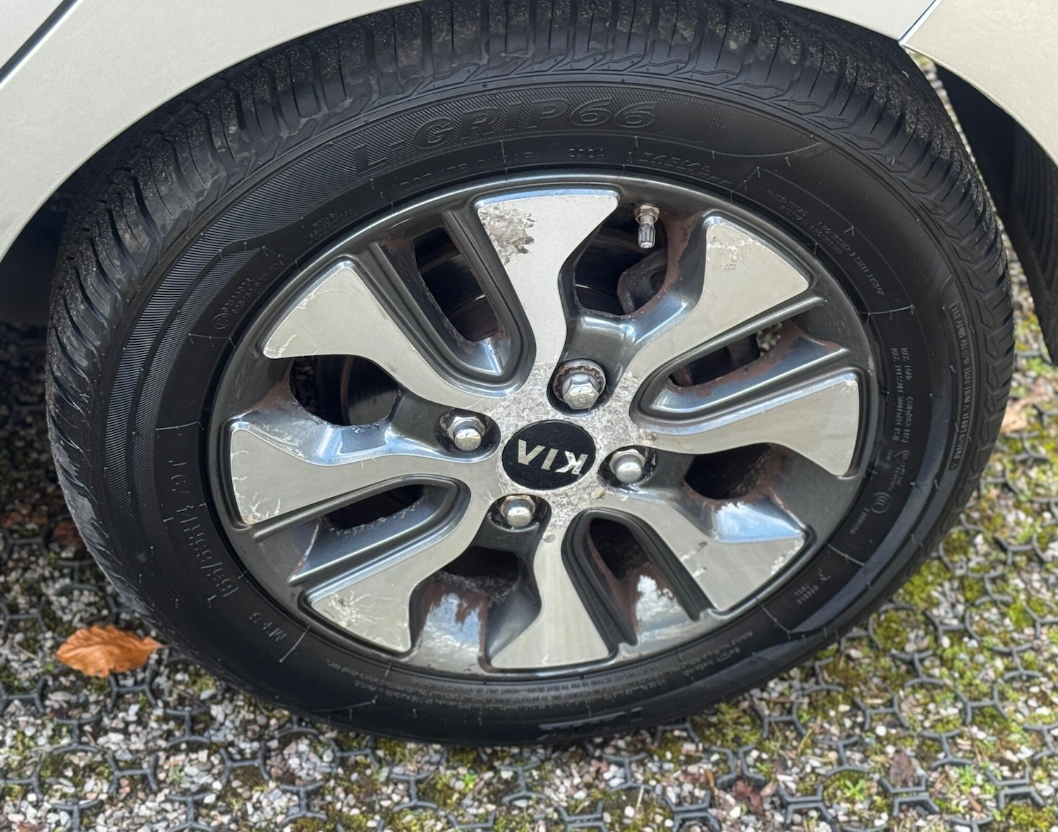 Used Kia Picanto for sale - 77671949: Photo 26