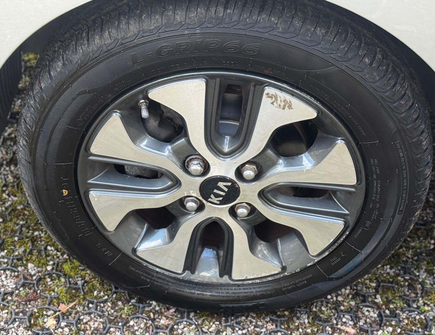 Used Kia Picanto for sale - 77671949: Photo 27