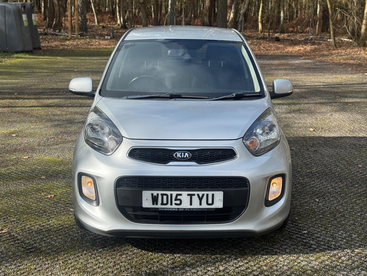 Used Kia Picanto for sale - 77671949: Photo 6