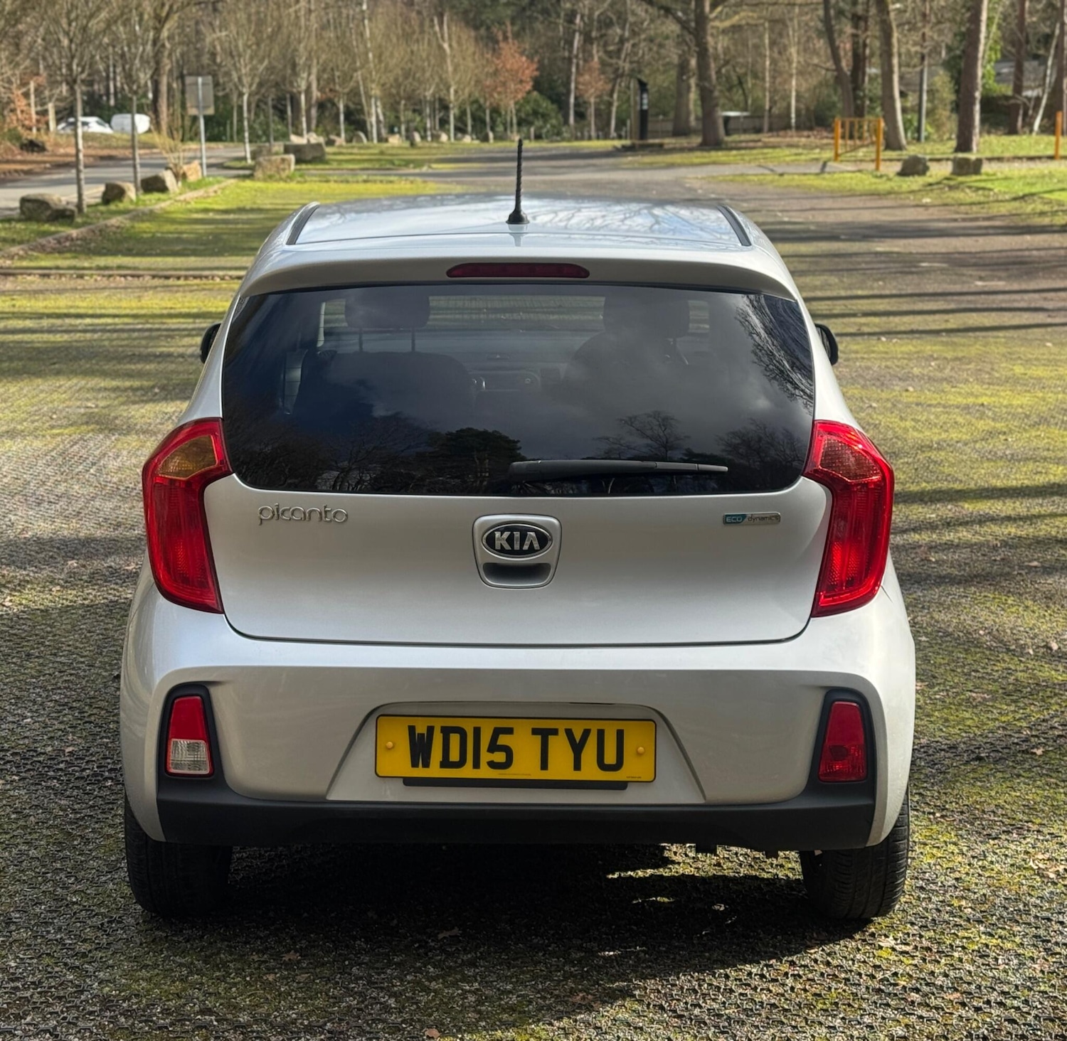 Used Kia Picanto for sale - 77671949: Photo 8