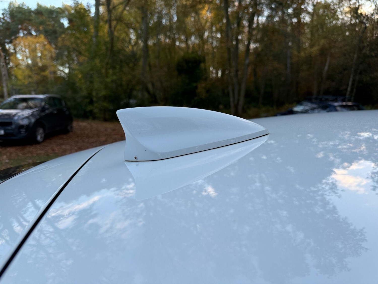 Used Vauxhall Insignia 2017 for sale - 77040841: Photo 58