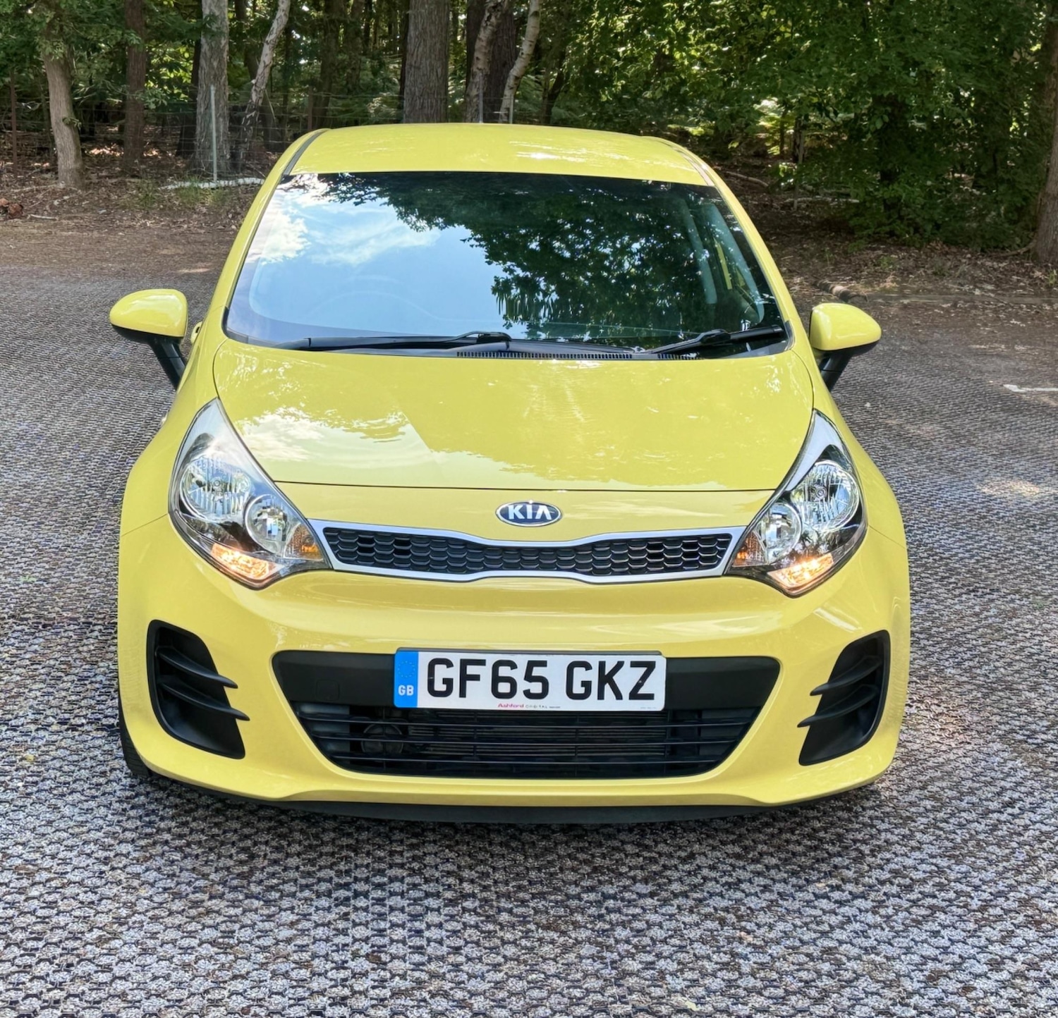 Used Kia Rio for sale - 77039837: Photo 4