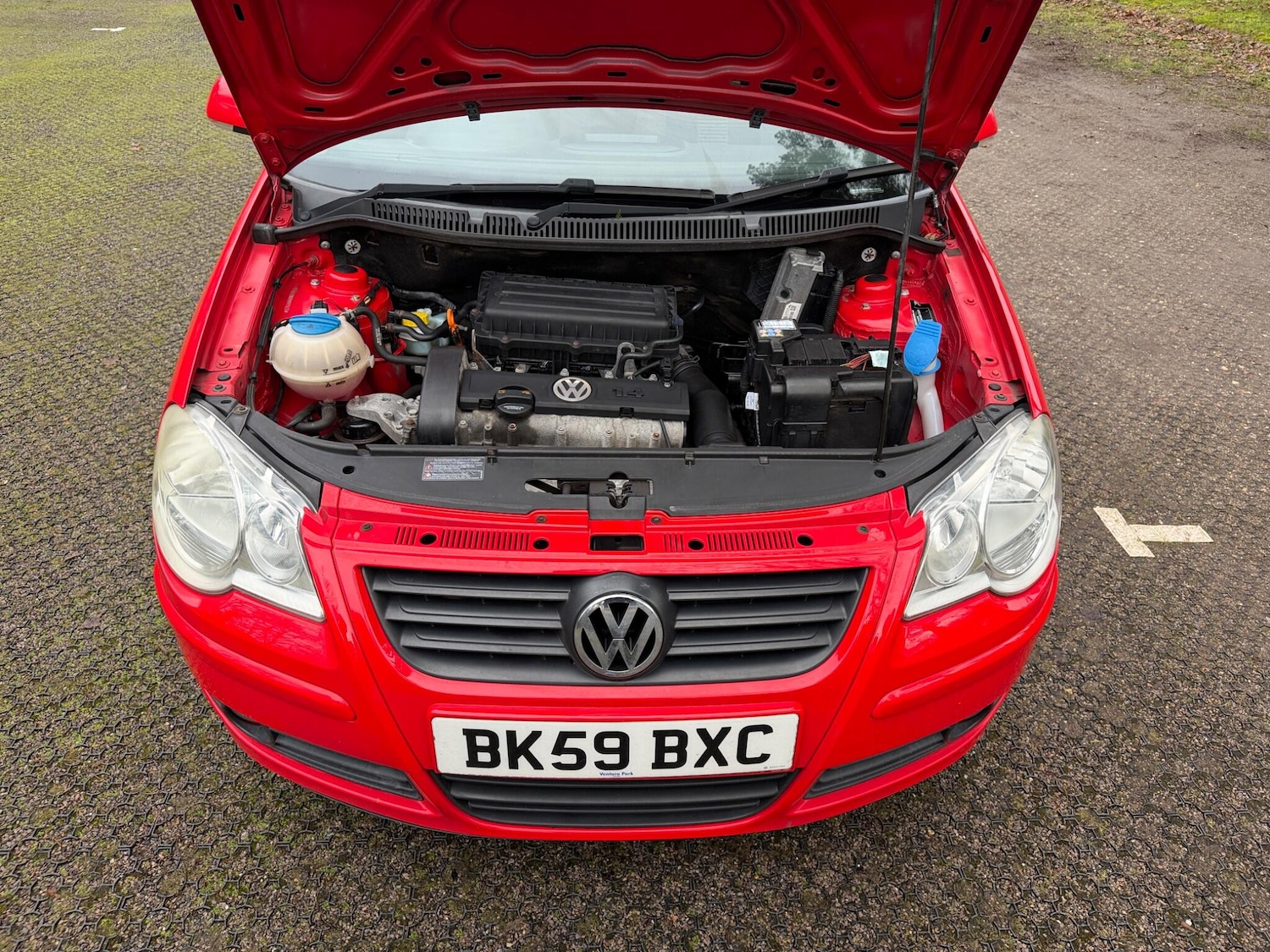 Used Volkswagen Polo for sale - 77784644: Photo 45