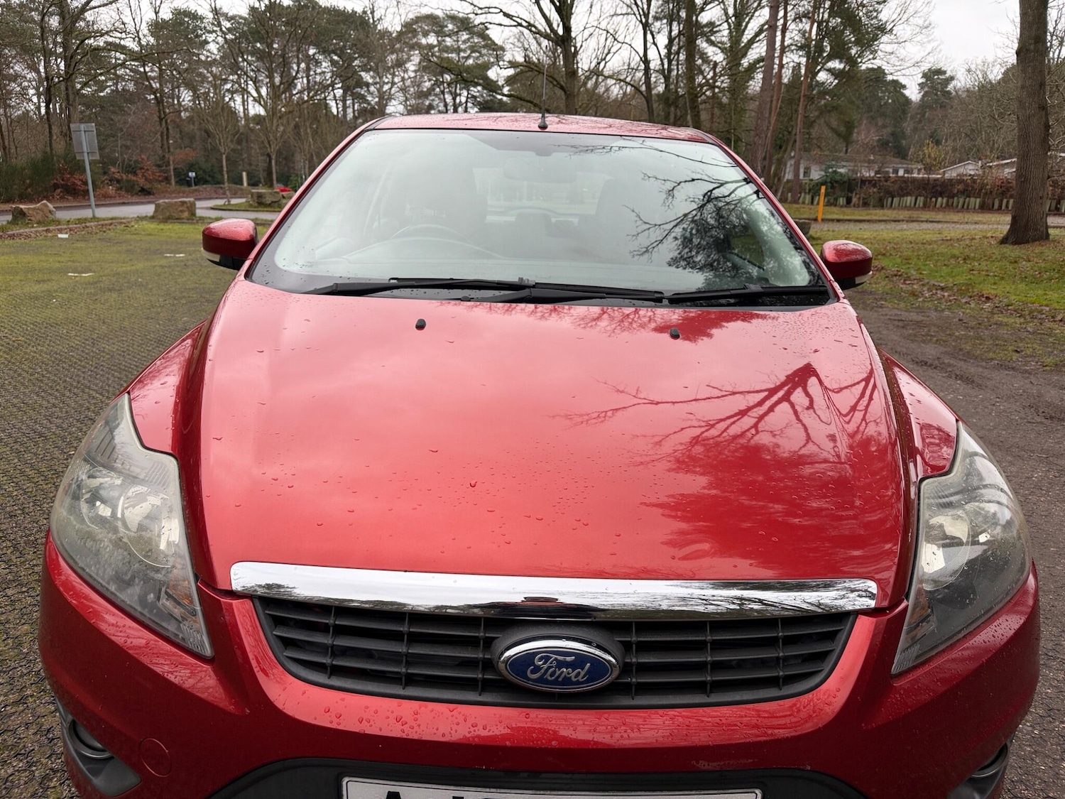 Used Ford Focus for sale - 77395683: Photo 14