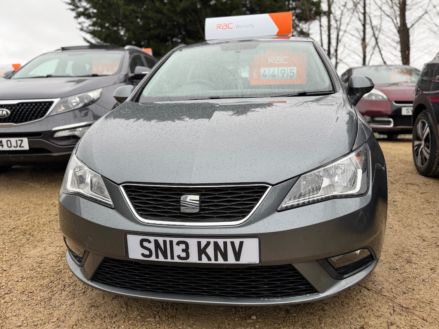 Used SEAT Ibiza 2013 for sale - 77631203: Photo 9