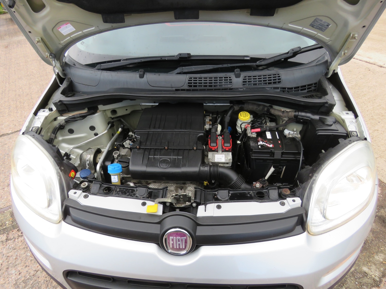 Used Fiat Panda 2012 for sale - 76367355: Photo 20