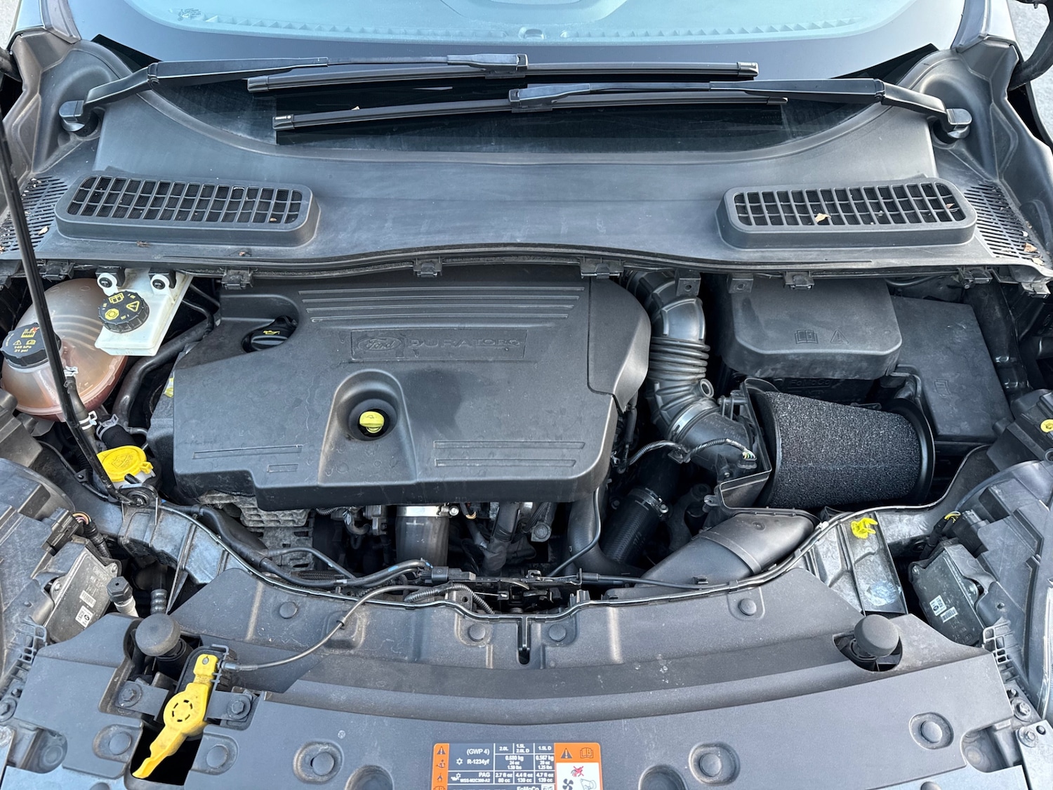 Used Ford Kuga 2019 for sale - 77053043: Photo 20