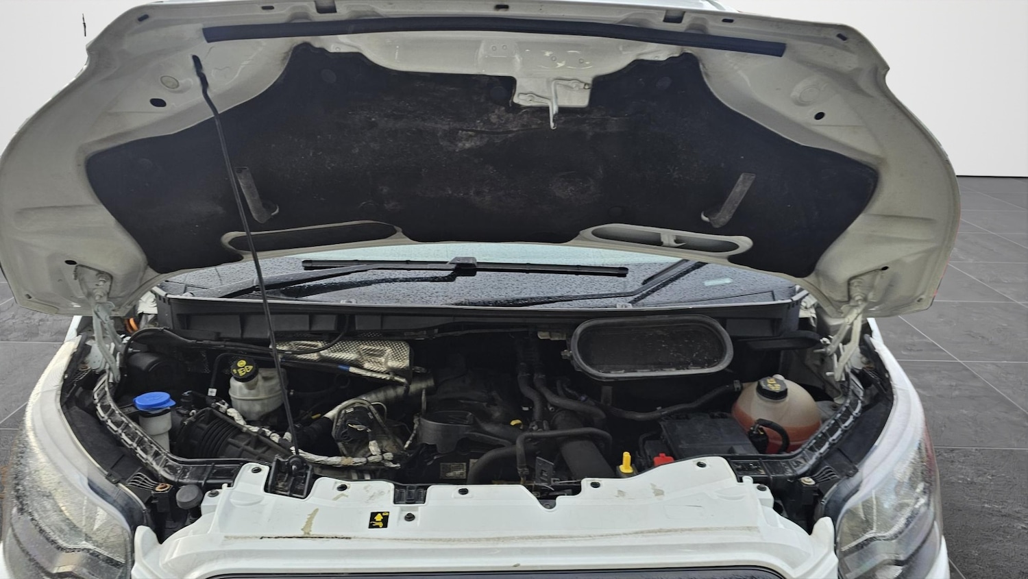 Used Ford Transit 2022 for sale - 78010894: Photo 10