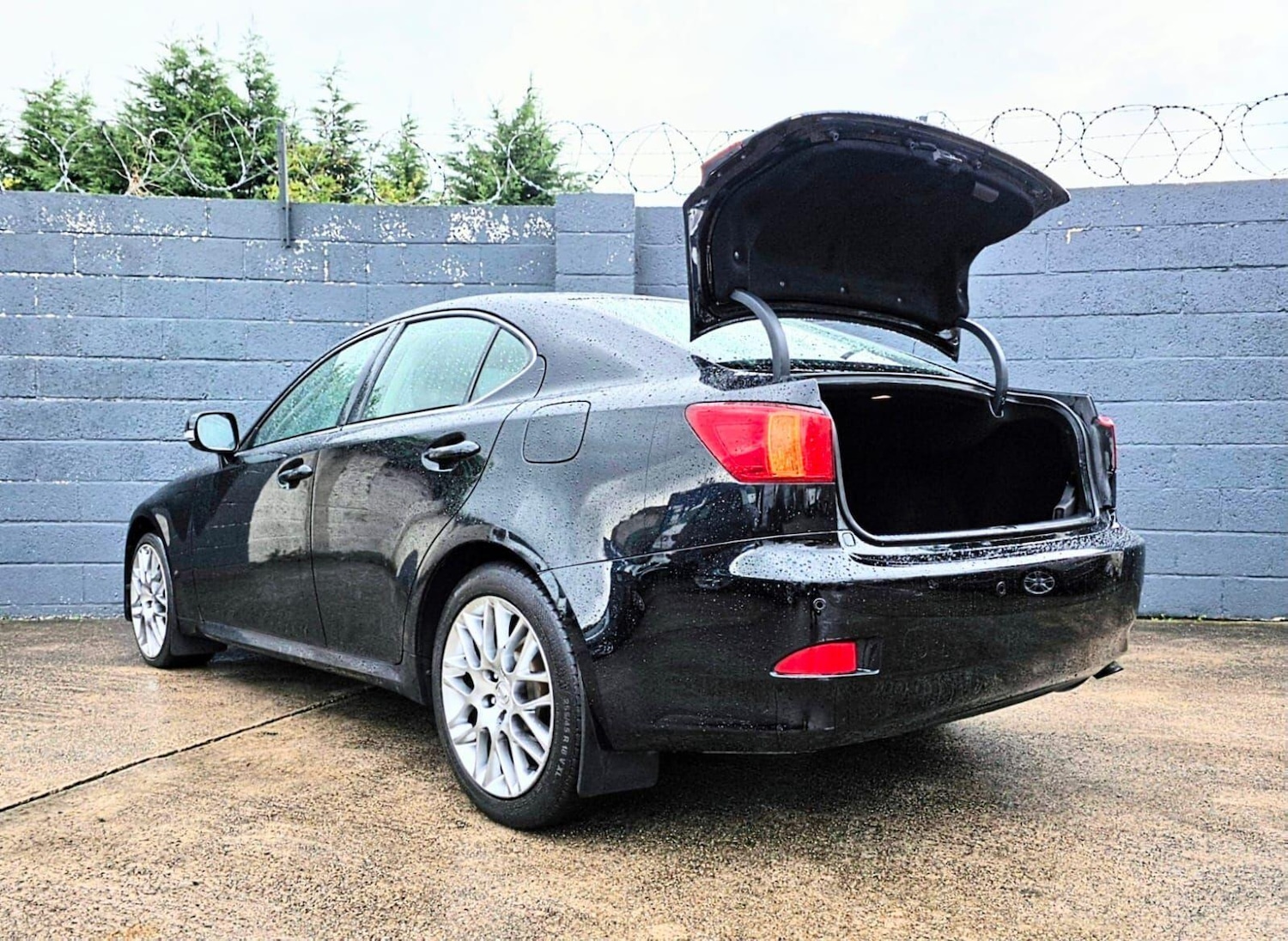 Used Lexus IS 2009 for sale - 76561964: Photo 13