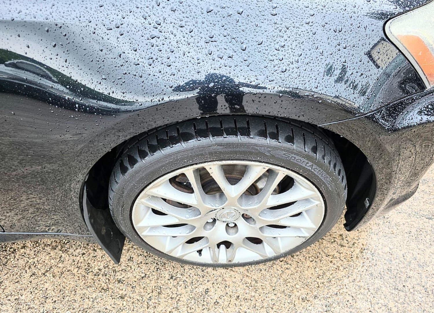 Used Lexus IS 2009 for sale - 76561964: Photo 19