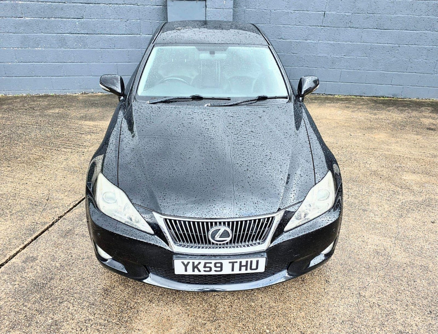 Used Lexus IS 2009 for sale - 76561964: Photo 2