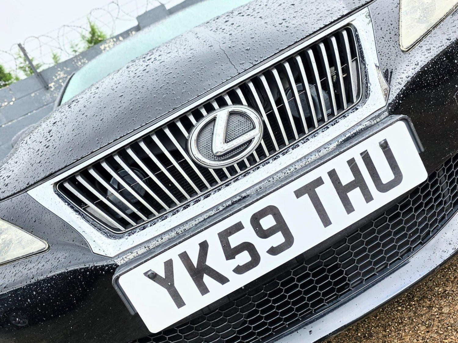 Used Lexus IS 2009 for sale - 76561964: Photo 3