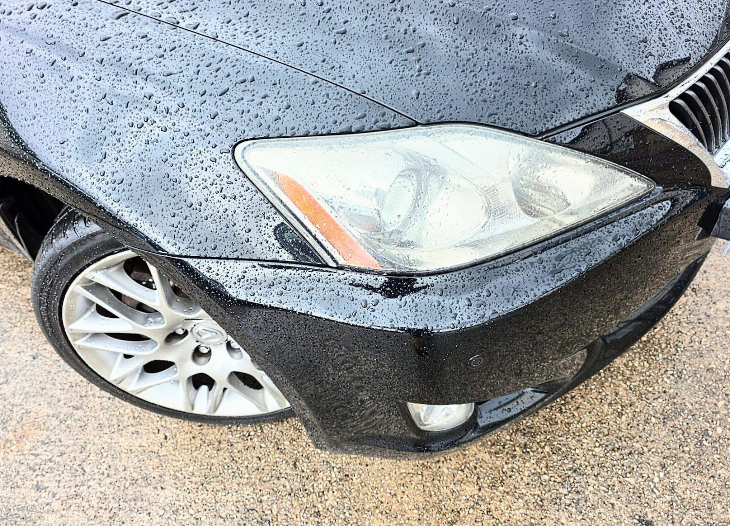 Used Lexus IS 2009 for sale - 76561964: Photo 5