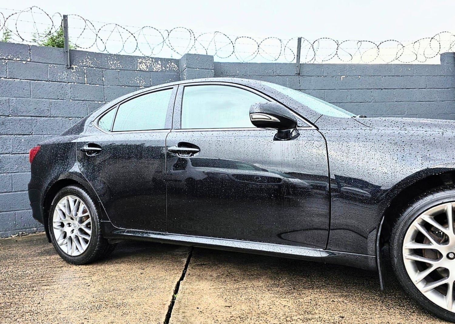 Used Lexus IS 2009 for sale - 76561964: Photo 6
