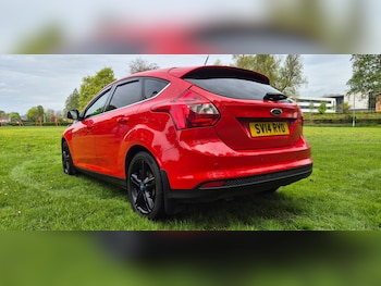 Used Ford Focus 2014 for sale - 78507950: Photo