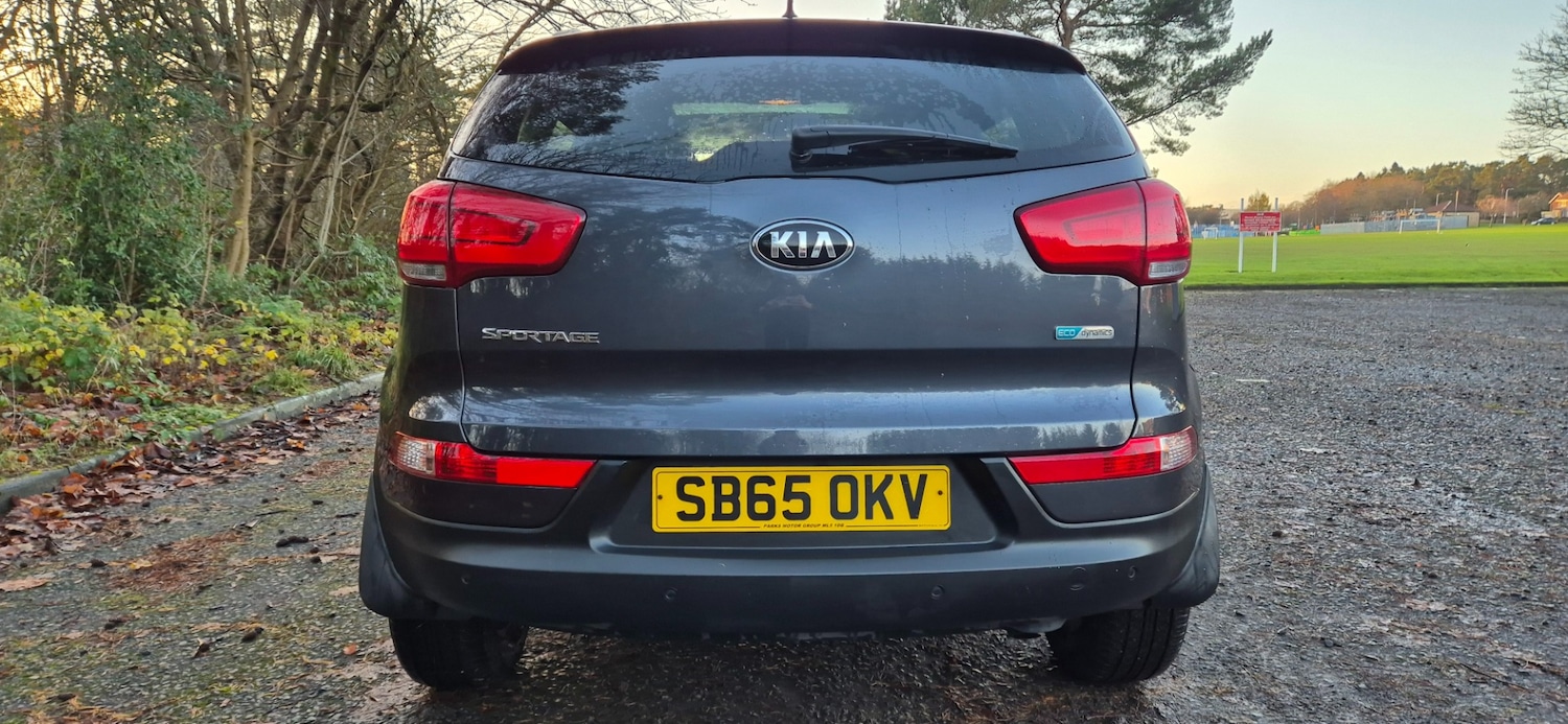 Used Kia Sportage 2015 for sale - 77323483: Photo 9