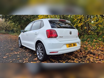 Used Volkswagen Polo 2015 for sale - 76321798: Photo