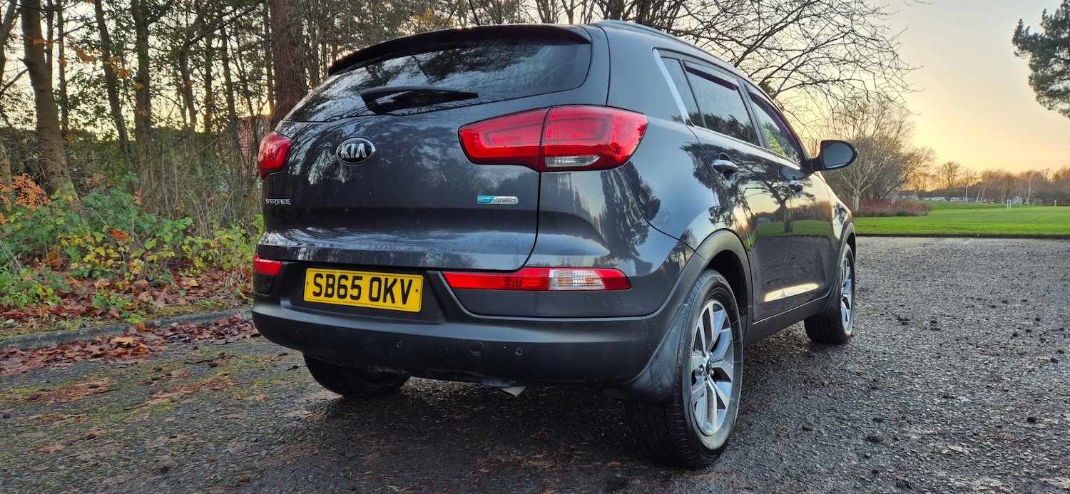 Used Kia Sportage 2015 for sale - 76881637: Photo 3