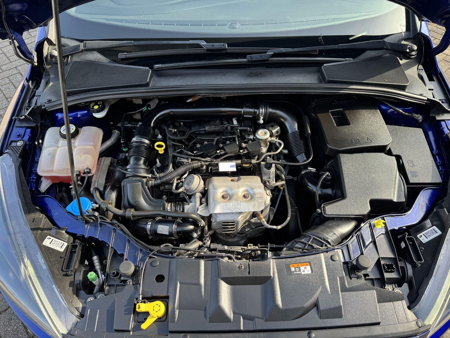 Used Ford Focus 2017 for sale - 77510451: Photo 51