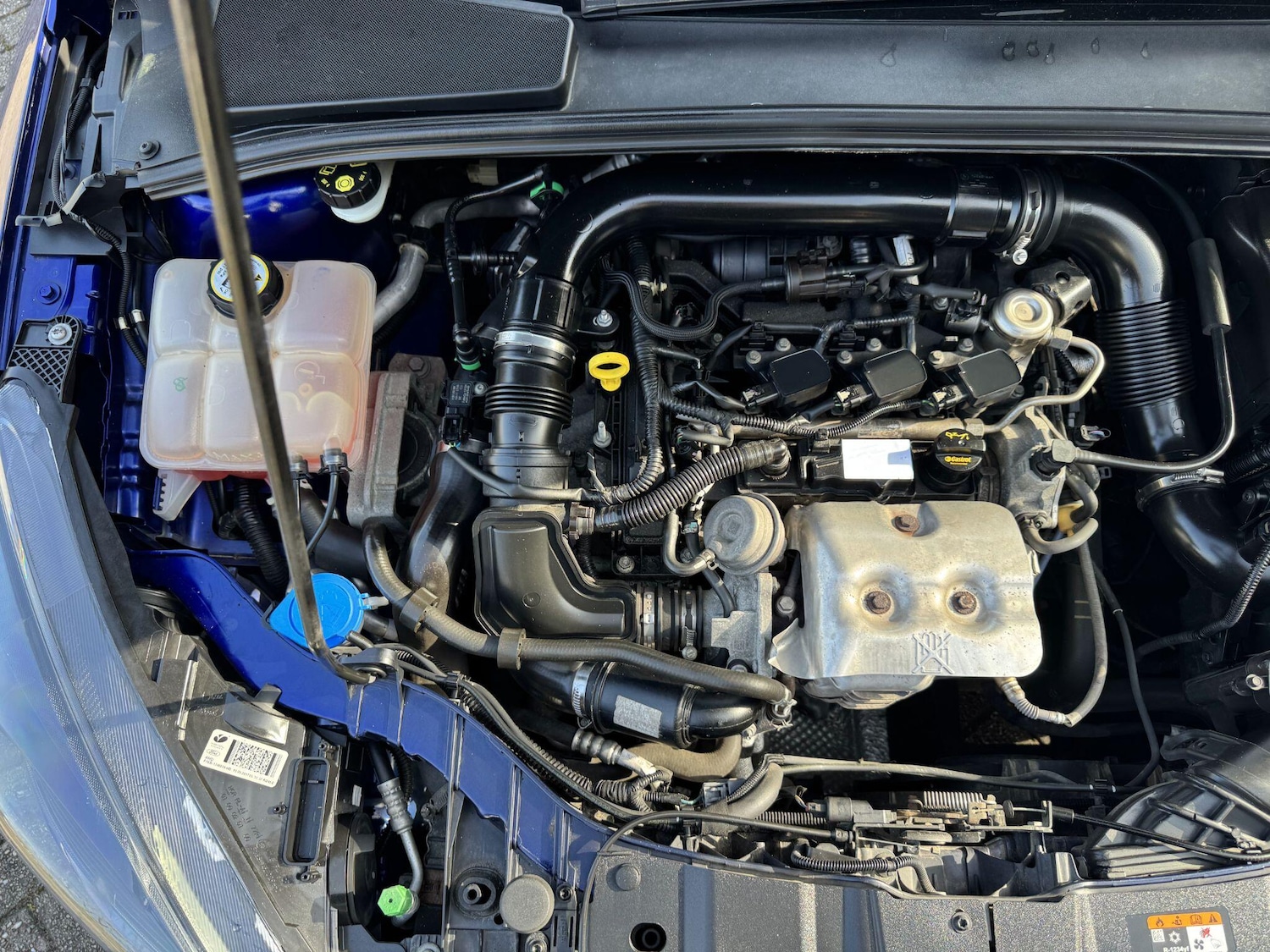 Used Ford Focus 2017 for sale - 77510451: Photo 52