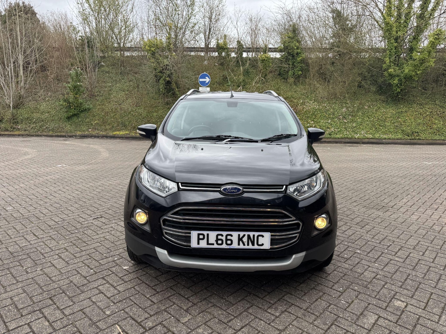 Used Ford Ecosport for sale - 77926024: Photo 3