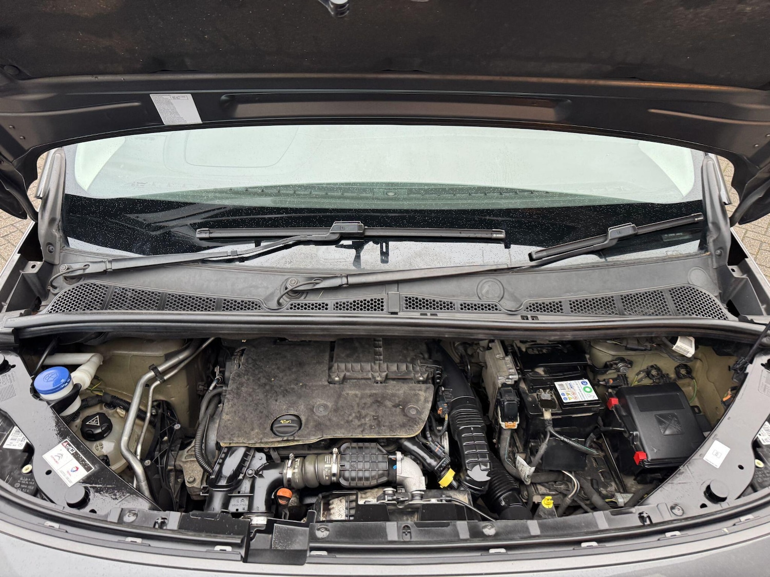 Used Citroen Berlingo 2018 for sale - 77175679: Photo 46