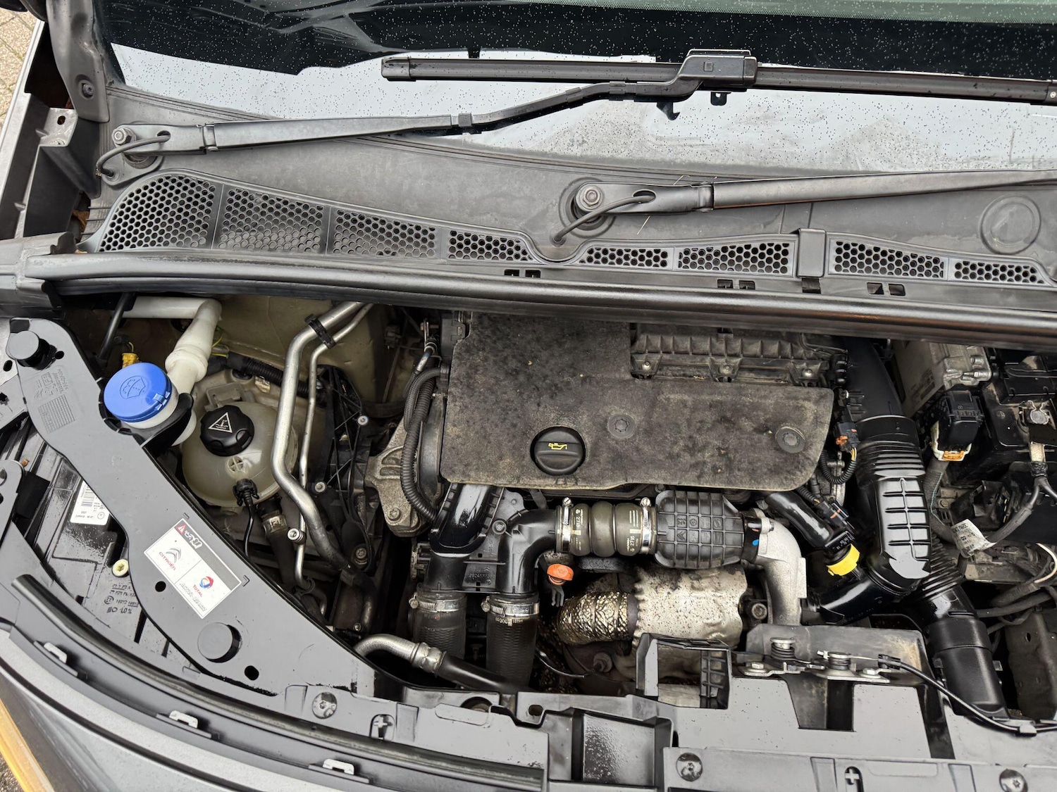 Used Citroen Berlingo 2018 for sale - 77175679: Photo 47