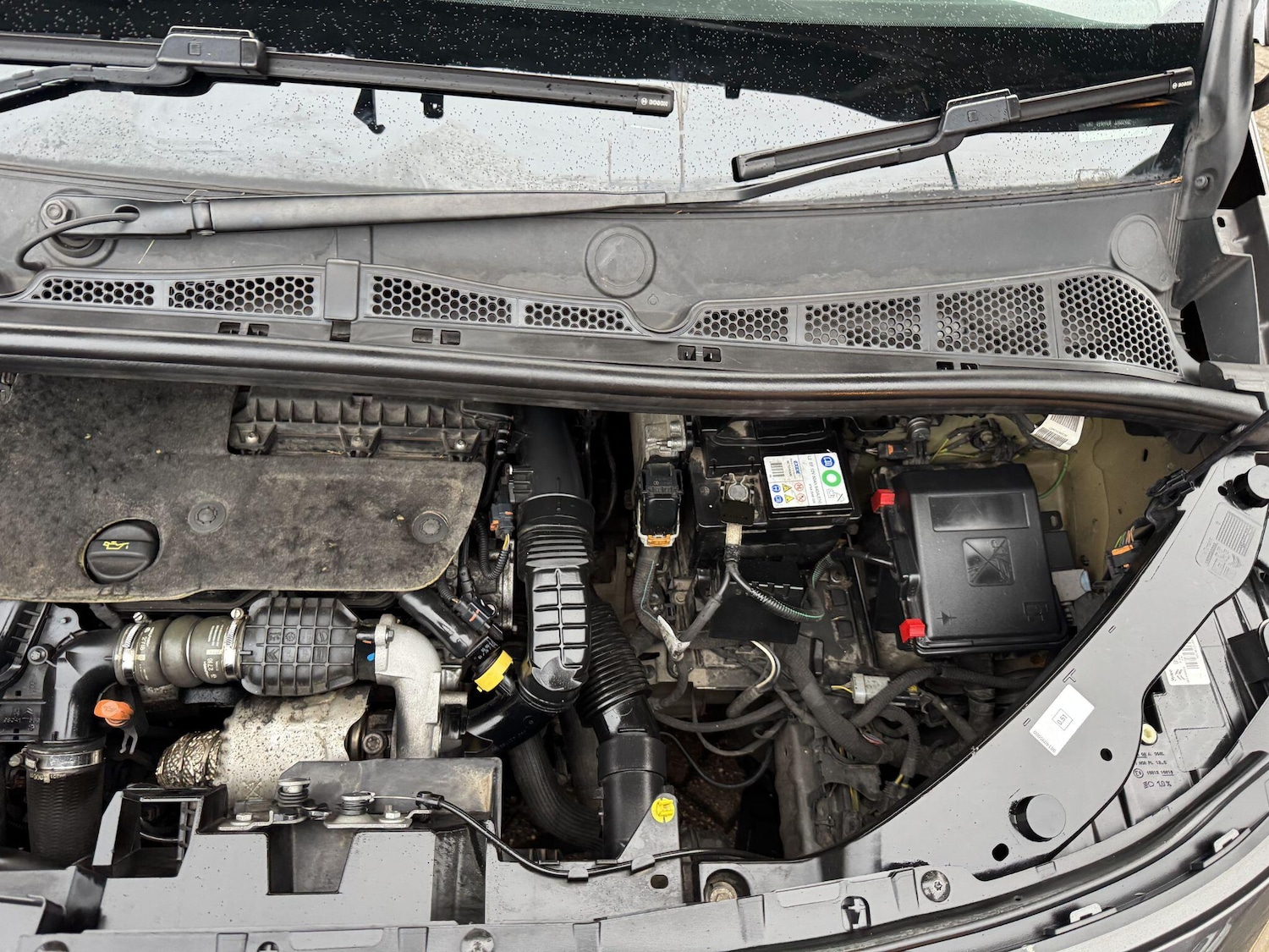 Used Citroen Berlingo 2018 for sale - 77175679: Photo 48