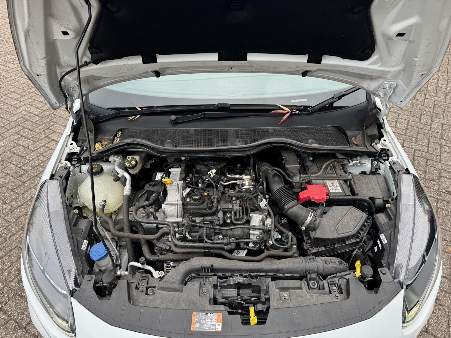 Used Ford Fiesta 2024 for sale - 76307464: Photo 55