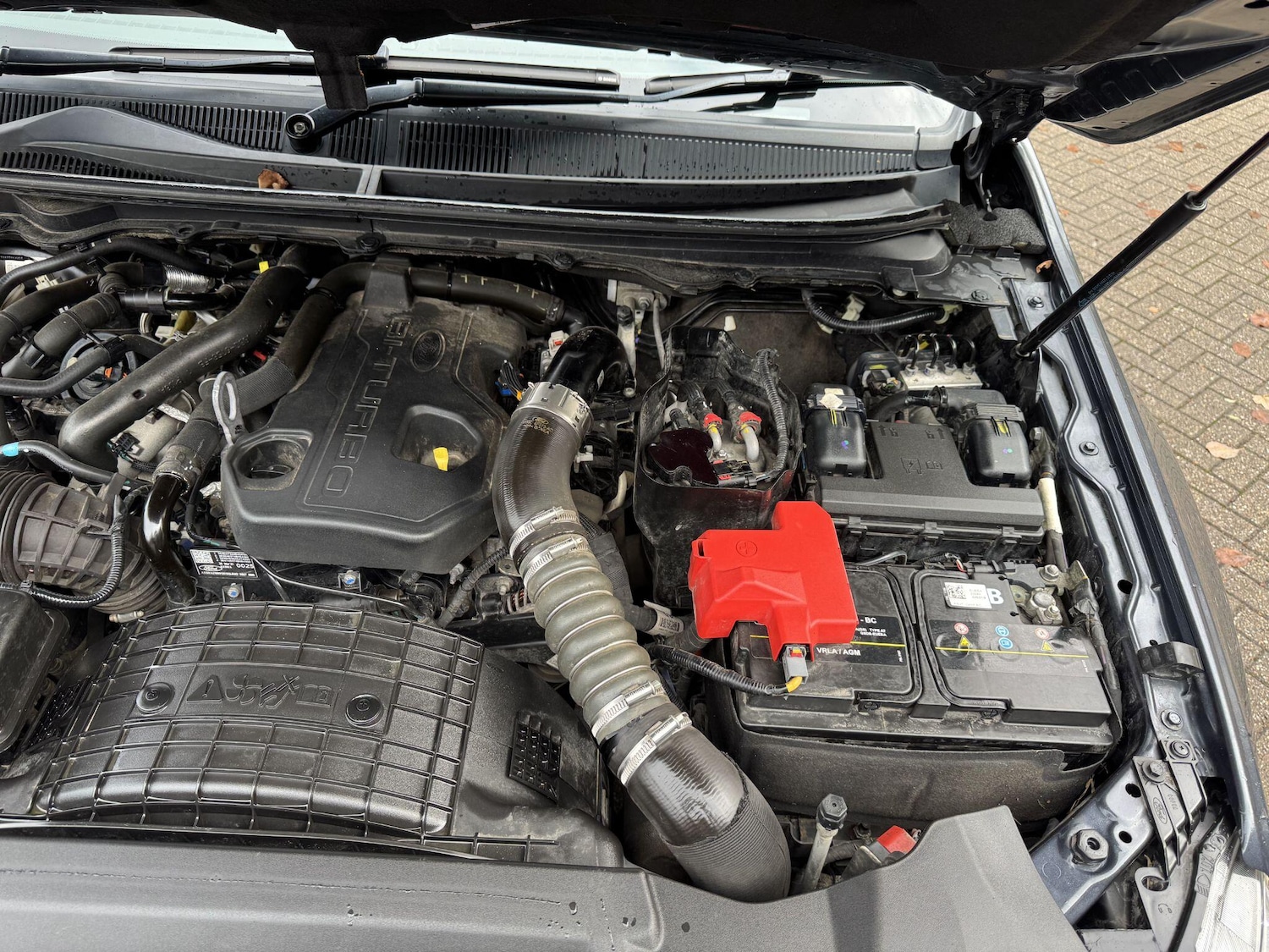 Used Ford Ranger 2021 for sale - 76269632: Photo 65