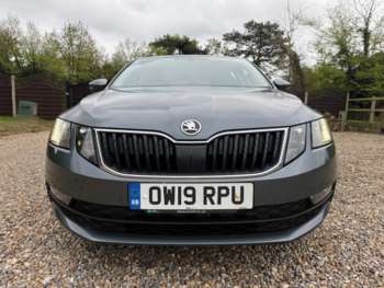 Used Skoda Octavia 2019 for sale - 74501882: Photo
