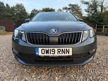 Used Skoda Octavia 2019 for sale - 75203377: Photo