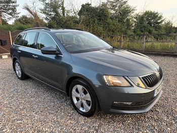 Used Skoda Octavia 2019 for sale - 75203377: Photo