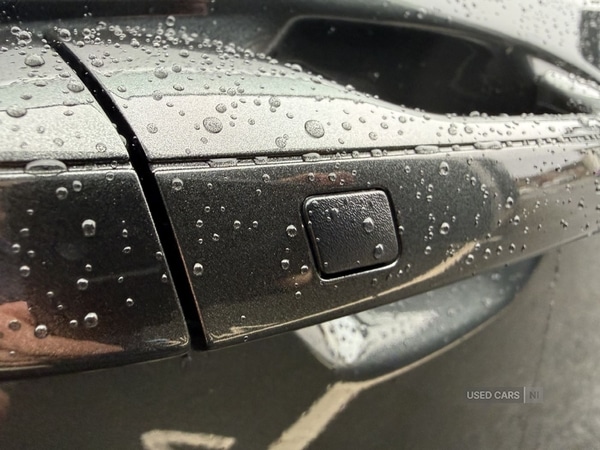 Used Kia Niro 2025 for sale - 77659409: Photo 14