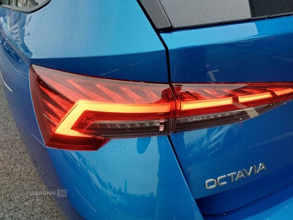 Used Skoda Octavia 2025 for sale - 76441442: Photo 11
