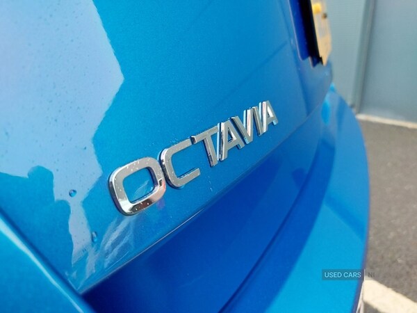 Used Skoda Octavia 2025 for sale - 76441442: Photo 14