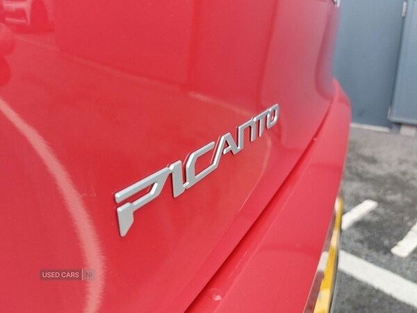 Used Kia Picanto 2025 for sale - 76308779: Photo 13