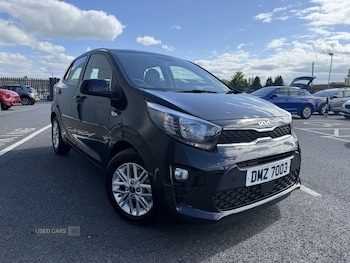 Used Kia Picanto 2024 for sale - 78505380: Photo