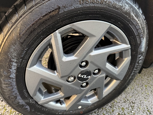 Used Kia Picanto 2025 for sale - 77017441: Photo 17