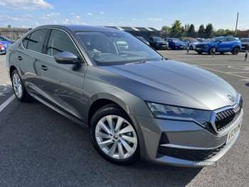 Used Skoda Octavia 2024 for sale - 74600622: Photo