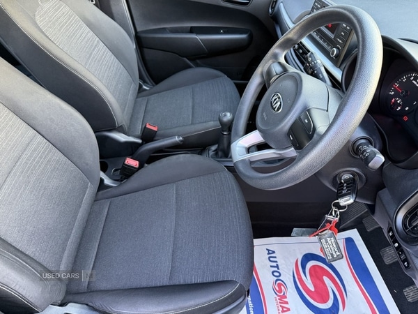 Used Kia Picanto 2017 for sale - 77372054: Photo 19