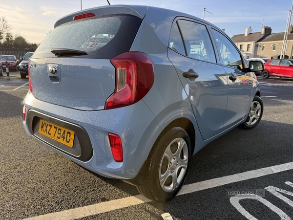 Used Kia Picanto 2017 for sale - 77372054: Photo 4