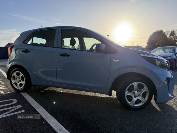 Used Kia Picanto 2017 for sale - 77372054: Photo 7