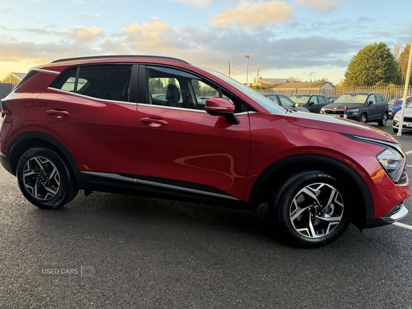 Used Kia Sportage 2025 for sale - 76702896: Photo 7