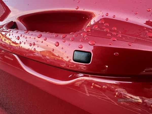 Used Kia Sportage 2025 for sale - 76399994: Photo 14