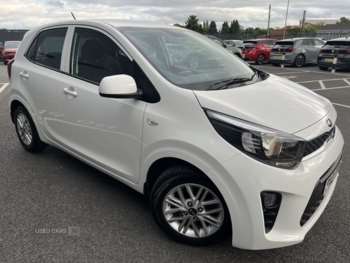 Used Kia Picanto 2021 for sale - 75187869: Photo